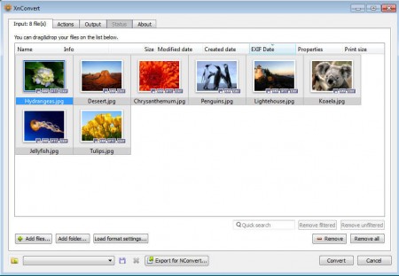 XnConvert images imported