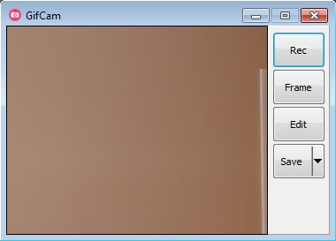 GifCam defualt window