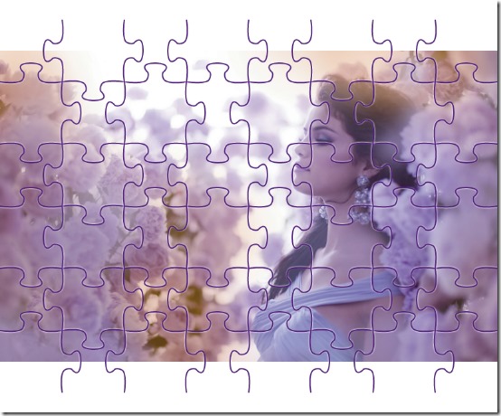 jigsaw puzzles