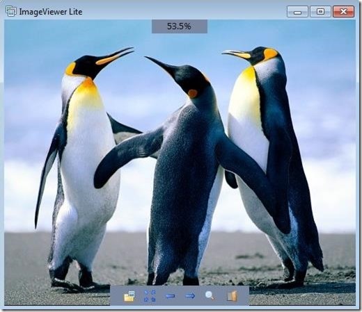 ImageViewer