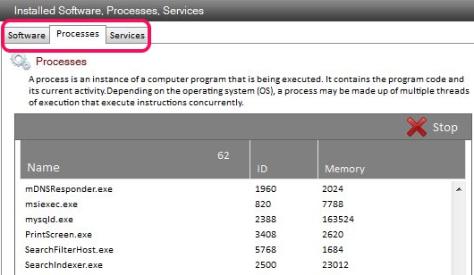 Sys Information- Installed Software, Processes, Services