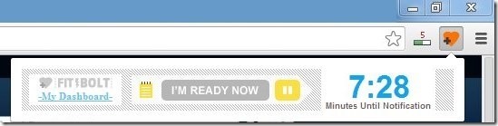 FitBolt-Chrome Plugin