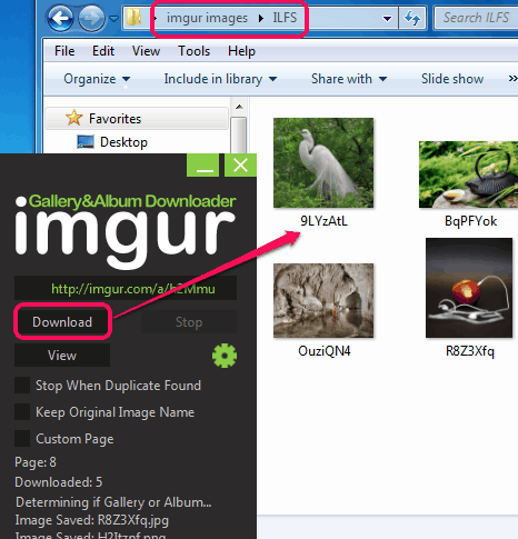 Downloader albums