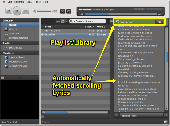 audio playback nightingale