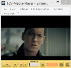 Free flv media player