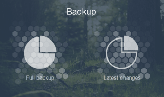 Choose type of Backup