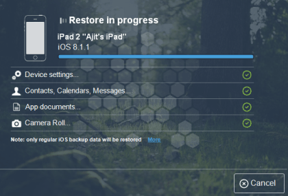 Restore in Progress