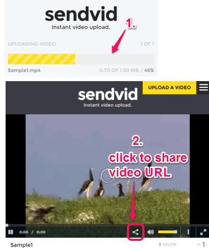 upload video and share video URL