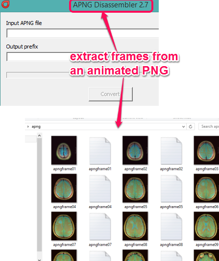 Online GIF to APNG (Animated PNG) Converter - Vertopal