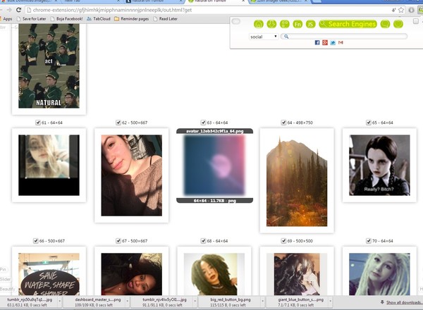 tumblr image downloader extensions for Chrome 2