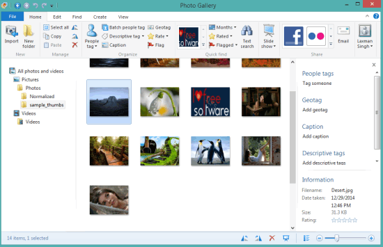 Windows Photo Gallery