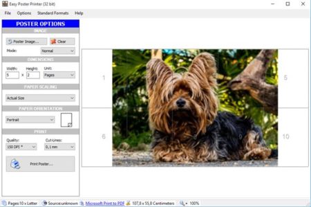 free easy poster printer software