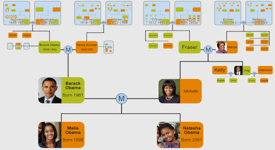 barack obama family tree