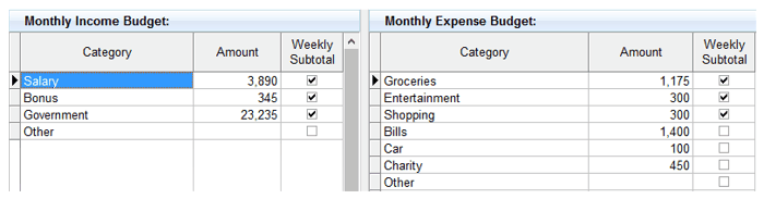 monthly budget