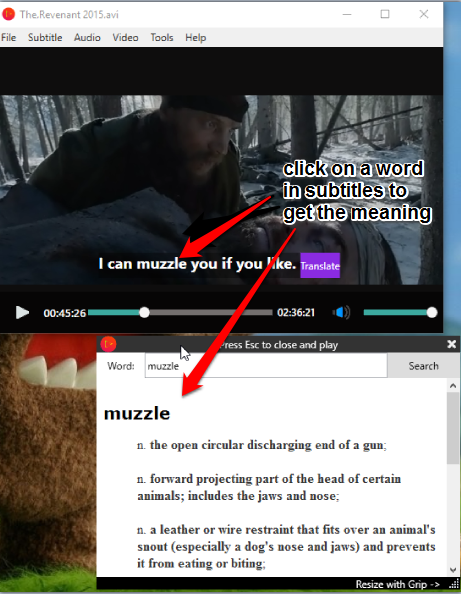 Video Player That Shows Meaning Of Words In Subtitles Translate Subtitle