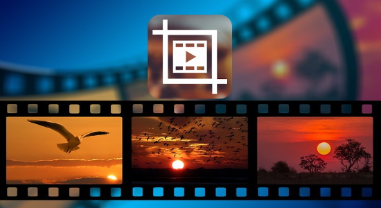 video crop software