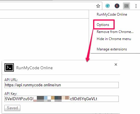 RunMyCode submit api key