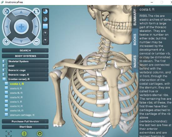 3d human anatomy software free download mac