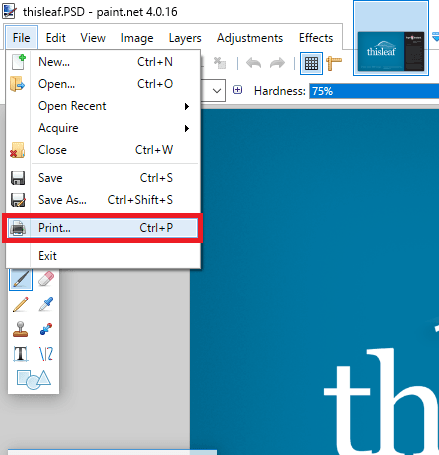 paint .net invoke print option