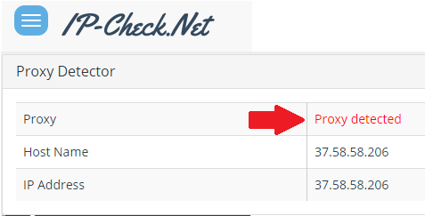 ip check net proxy detector