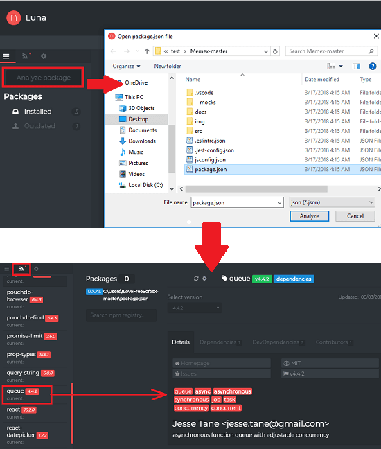 luna package.json analysis