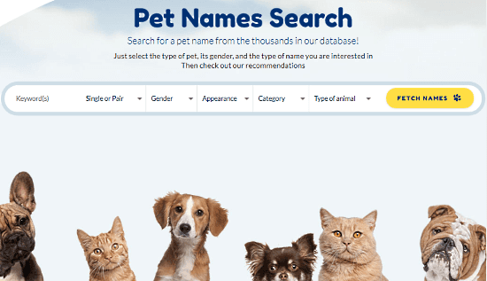 3perfectpetname 