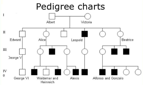 Free Online Pedigree Chart Maker Websites