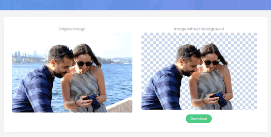 How To Automatically Remove Background from Image Online