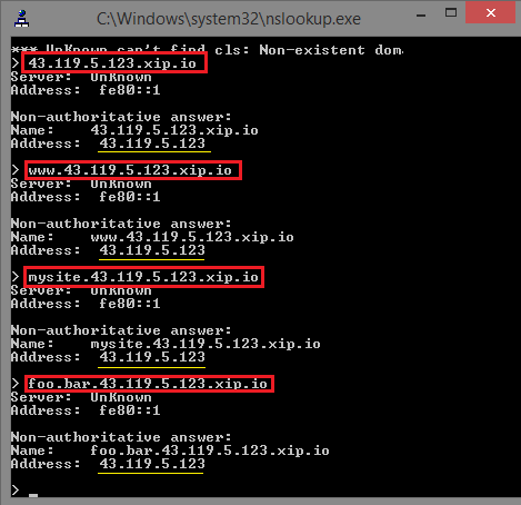 Wildcard DNS in action