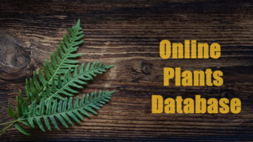 online plants database free