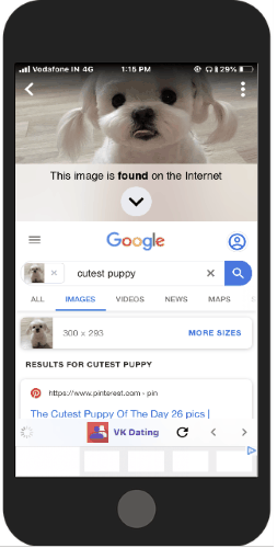 Reverse Image Search Apps for iPhone