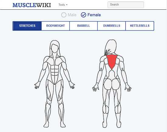 Understand your body, simplify your workout.