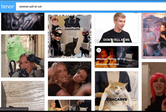 Tenor meme search engine