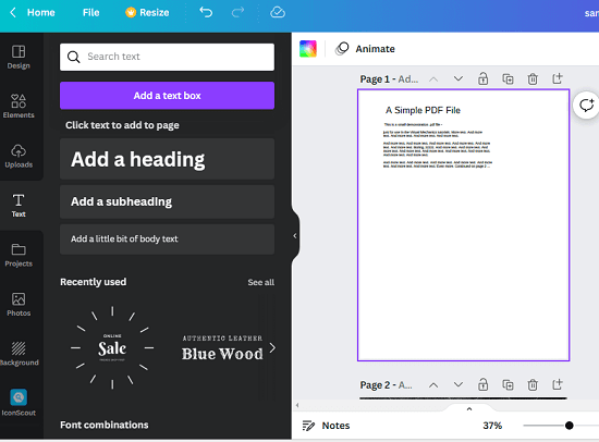 Opened PDF in Canva Editor