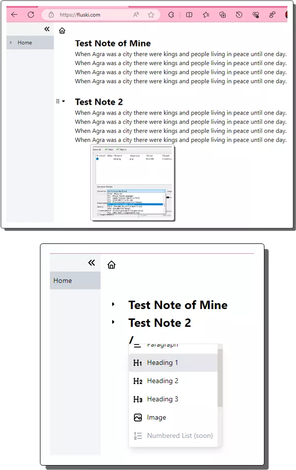 Fluski Notes and Slash Command